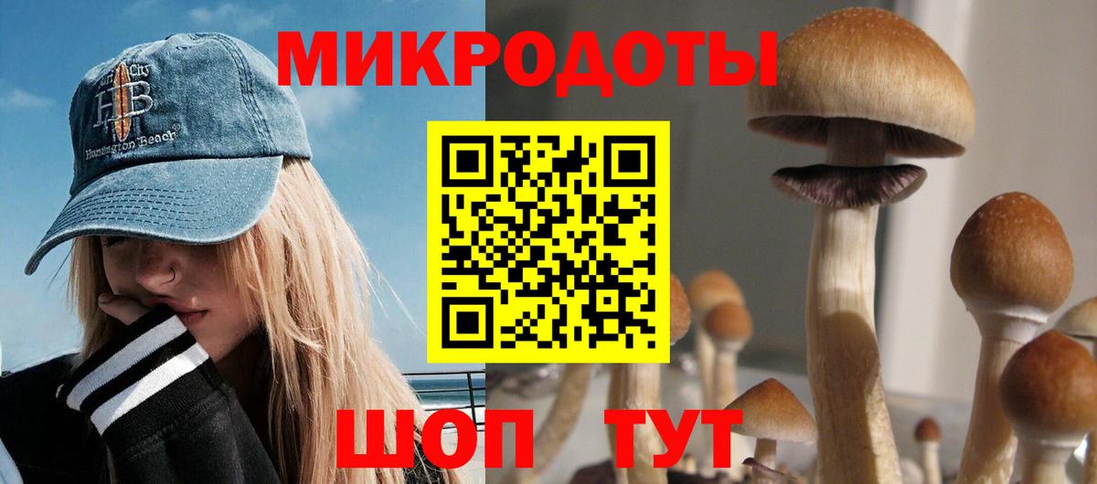 Галлюциногенные грибы MAGIC MUSHROOMS  Псилоцибиновые грибы ЛСД  дарнет шоп  Вход с VPN  Горячий Ключ 
